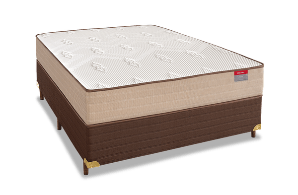 REAL-CONJ-138-RECONFLEX